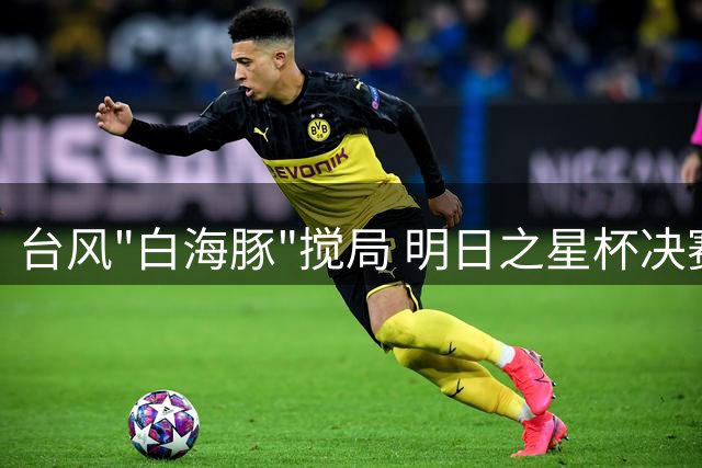 台风"白海豚"搅局 明日之星杯决赛取消创双冠军历史