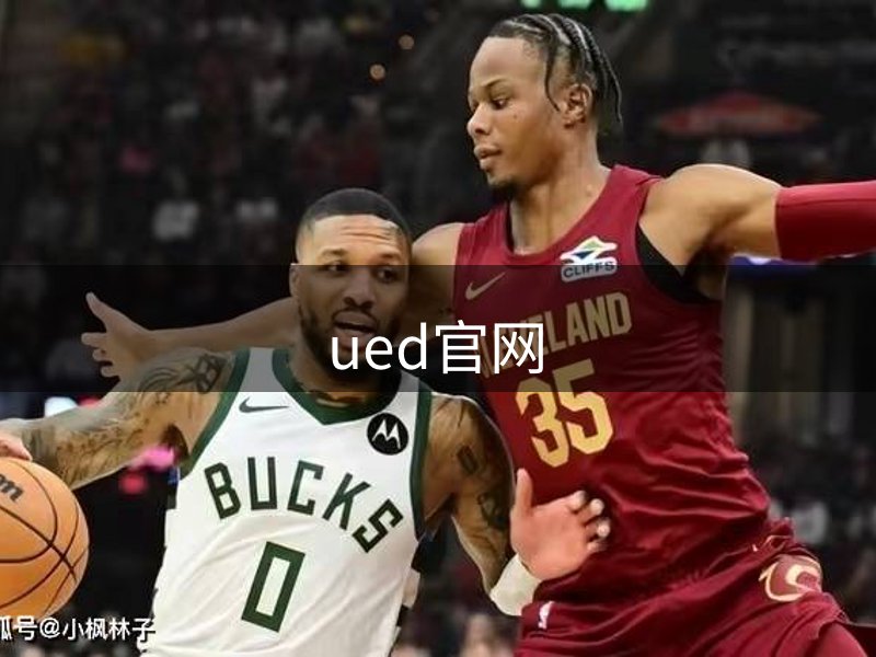 平台概况